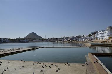 01 Pushkar_DSC4902_b_H600